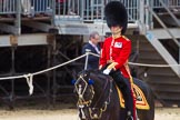 The Colonel's Review 2015.
Horse Guards Parade, Westminster,
London,

United Kingdom,
on 06 June 2015 at 11:31, image #350