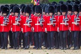 The Colonel's Review 2015.
Horse Guards Parade, Westminster,
London,

United Kingdom,
on 06 June 2015 at 11:31, image #354