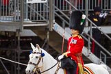 The Colonel's Review 2015.
Horse Guards Parade, Westminster,
London,

United Kingdom,
on 06 June 2015 at 11:31, image #358