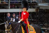 The Colonel's Review 2015.
Horse Guards Parade, Westminster,
London,

United Kingdom,
on 06 June 2015 at 11:32, image #359