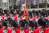 The Colonel's Review 2015.
Horse Guards Parade, Westminster,
London,

United Kingdom,
on 06 June 2015 at 11:32, image #360