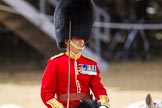 The Colonel's Review 2015.
Horse Guards Parade, Westminster,
London,

United Kingdom,
on 06 June 2015 at 11:32, image #361
