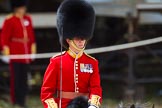 The Colonel's Review 2015.
Horse Guards Parade, Westminster,
London,

United Kingdom,
on 06 June 2015 at 11:32, image #363