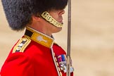 The Colonel's Review 2015.
Horse Guards Parade, Westminster,
London,

United Kingdom,
on 06 June 2015 at 11:32, image #367