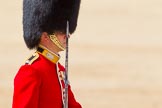 The Colonel's Review 2015.
Horse Guards Parade, Westminster,
London,

United Kingdom,
on 06 June 2015 at 11:33, image #368