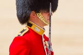 The Colonel's Review 2015.
Horse Guards Parade, Westminster,
London,

United Kingdom,
on 06 June 2015 at 11:33, image #369