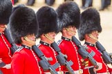 The Colonel's Review 2015.
Horse Guards Parade, Westminster,
London,

United Kingdom,
on 06 June 2015 at 11:33, image #370