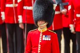 The Colonel's Review 2015.
Horse Guards Parade, Westminster,
London,

United Kingdom,
on 06 June 2015 at 11:33, image #371