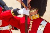 The Colonel's Review 2015.
Horse Guards Parade, Westminster,
London,

United Kingdom,
on 06 June 2015 at 11:33, image #373