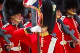 The Colonel's Review 2015.
Horse Guards Parade, Westminster,
London,

United Kingdom,
on 06 June 2015 at 11:33, image #374