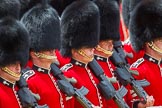 The Colonel's Review 2015.
Horse Guards Parade, Westminster,
London,

United Kingdom,
on 06 June 2015 at 11:33, image #378