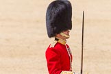 The Colonel's Review 2015.
Horse Guards Parade, Westminster,
London,

United Kingdom,
on 06 June 2015 at 11:34, image #380