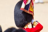 The Colonel's Review 2015.
Horse Guards Parade, Westminster,
London,

United Kingdom,
on 06 June 2015 at 11:34, image #382
