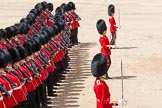 The Colonel's Review 2015.
Horse Guards Parade, Westminster,
London,

United Kingdom,
on 06 June 2015 at 11:35, image #390