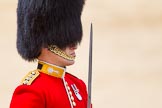 The Colonel's Review 2015.
Horse Guards Parade, Westminster,
London,

United Kingdom,
on 06 June 2015 at 11:36, image #393