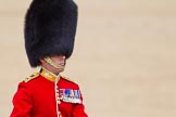 The Colonel's Review 2015.
Horse Guards Parade, Westminster,
London,

United Kingdom,
on 06 June 2015 at 11:38, image #403