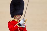 The Colonel's Review 2015.
Horse Guards Parade, Westminster,
London,

United Kingdom,
on 06 June 2015 at 11:38, image #404