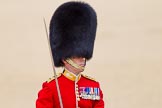 The Colonel's Review 2015.
Horse Guards Parade, Westminster,
London,

United Kingdom,
on 06 June 2015 at 11:38, image #405