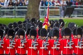The Colonel's Review 2015.
Horse Guards Parade, Westminster,
London,

United Kingdom,
on 06 June 2015 at 11:41, image #423