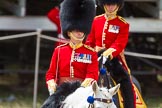 The Colonel's Review 2015.
Horse Guards Parade, Westminster,
London,

United Kingdom,
on 06 June 2015 at 11:42, image #425