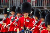 The Colonel's Review 2015.
Horse Guards Parade, Westminster,
London,

United Kingdom,
on 06 June 2015 at 11:42, image #426