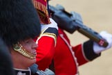 The Colonel's Review 2015.
Horse Guards Parade, Westminster,
London,

United Kingdom,
on 06 June 2015 at 11:43, image #431