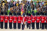 The Colonel's Review 2015.
Horse Guards Parade, Westminster,
London,

United Kingdom,
on 06 June 2015 at 11:48, image #446