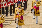 The Colonel's Review 2015.
Horse Guards Parade, Westminster,
London,

United Kingdom,
on 06 June 2015 at 11:50, image #458