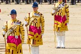 The Colonel's Review 2015.
Horse Guards Parade, Westminster,
London,

United Kingdom,
on 06 June 2015 at 11:50, image #460