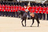 The Colonel's Review 2015.
Horse Guards Parade, Westminster,
London,

United Kingdom,
on 06 June 2015 at 11:50, image #462