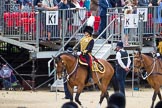 The Colonel's Review 2015.
Horse Guards Parade, Westminster,
London,

United Kingdom,
on 06 June 2015 at 11:51, image #470