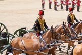 The Colonel's Review 2015.
Horse Guards Parade, Westminster,
London,

United Kingdom,
on 06 June 2015 at 11:52, image #484
