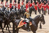 The Colonel's Review 2015.
Horse Guards Parade, Westminster,
London,

United Kingdom,
on 06 June 2015 at 11:54, image #505