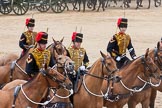 The Colonel's Review 2015.
Horse Guards Parade, Westminster,
London,

United Kingdom,
on 06 June 2015 at 11:56, image #517