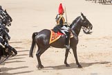The Colonel's Review 2015.
Horse Guards Parade, Westminster,
London,

United Kingdom,
on 06 June 2015 at 11:58, image #536