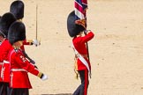 The Colonel's Review 2015.
Horse Guards Parade, Westminster,
London,

United Kingdom,
on 06 June 2015 at 12:08, image #586