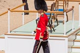The Colonel's Review 2015.
Horse Guards Parade, Westminster,
London,

United Kingdom,
on 06 June 2015 at 12:13, image #596