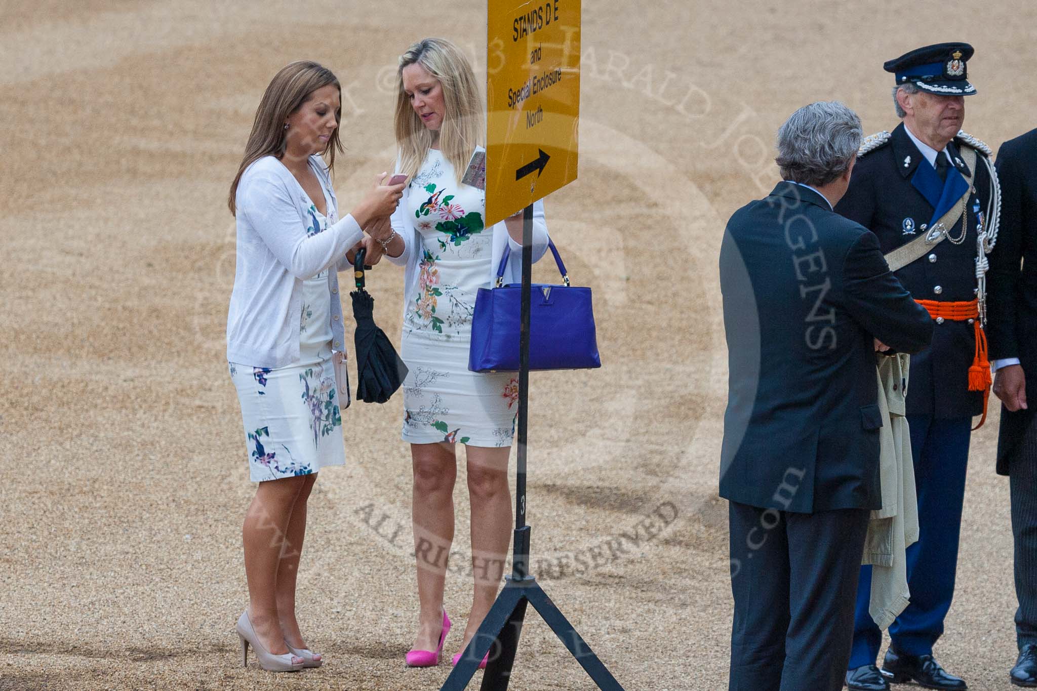 Trooping the Colour 2015. Image #19, 13 June 2015 09:42 Horse Guards Parade, London, UK
