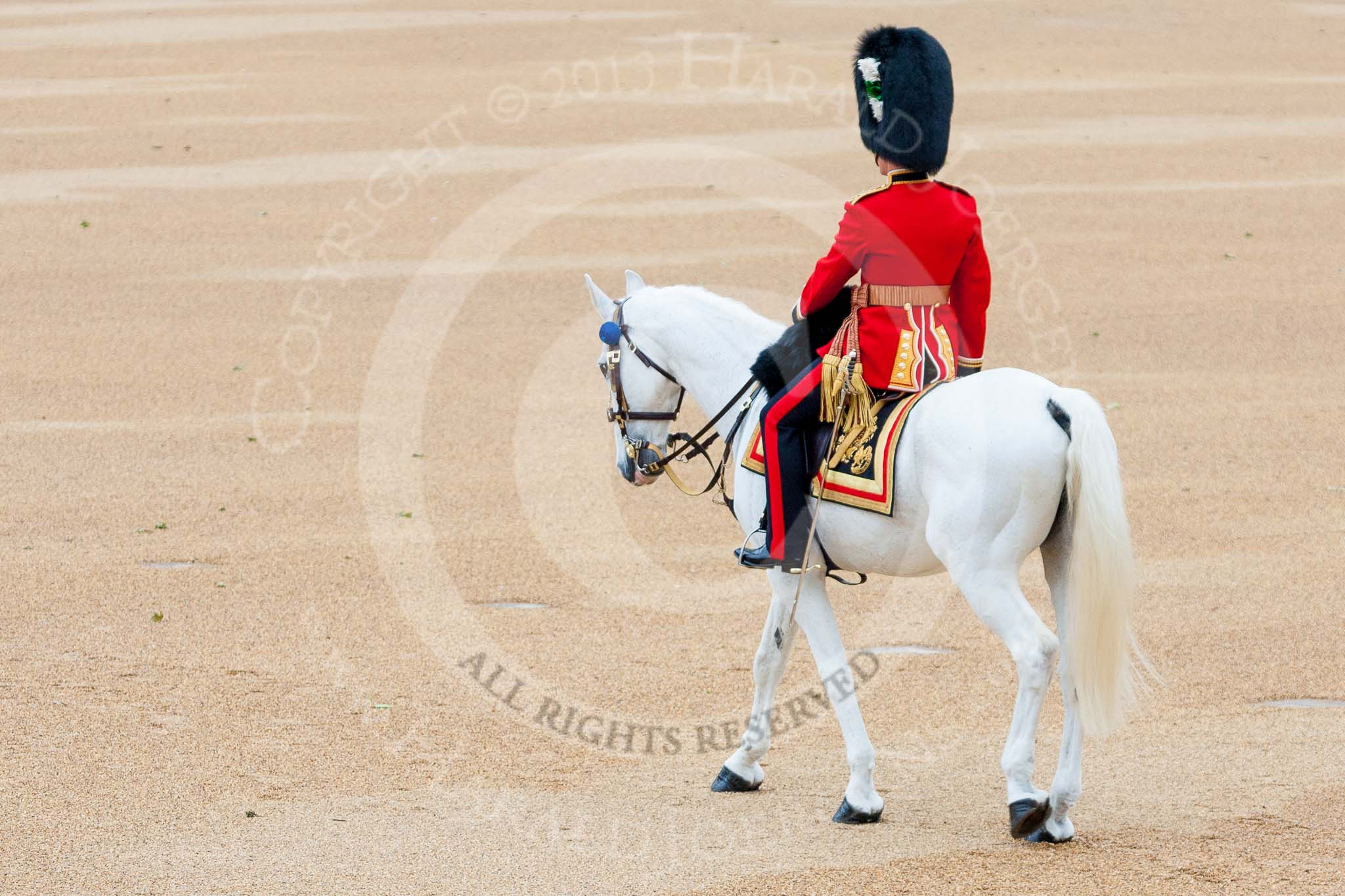 Trooping the Colour 2015. Image #134, 13 June 2015 10:35 Horse Guards Parade, London, UK