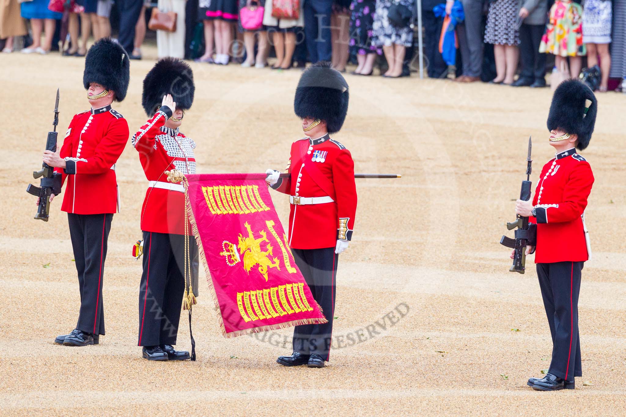 Trooping the Colour 2015. Image #140, 13 June 2015 10:36 Horse Guards Parade, London, UK