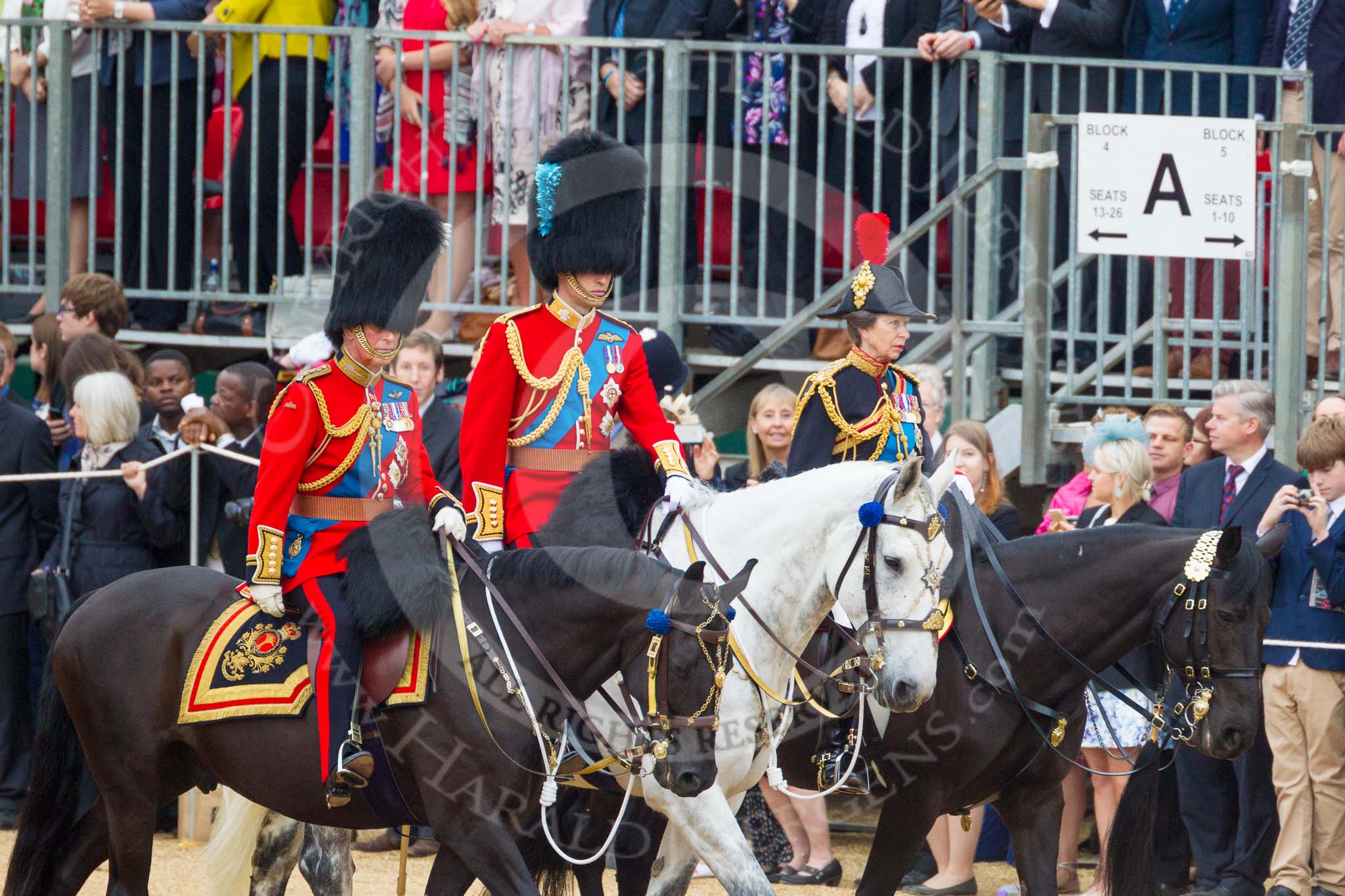 Trooping the Colour 2015. Image #240, 13 June 2015 10:58 Horse Guards Parade, London, UK