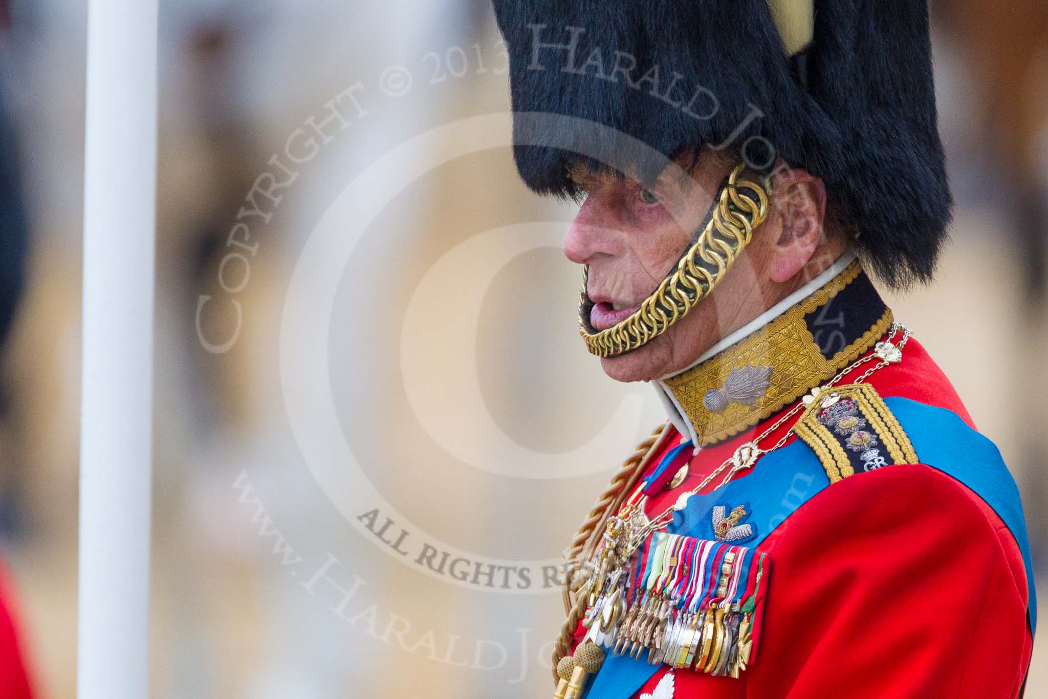 Trooping the Colour 2015. Image #256, 13 June 2015 11:00 Horse Guards Parade, London, UK