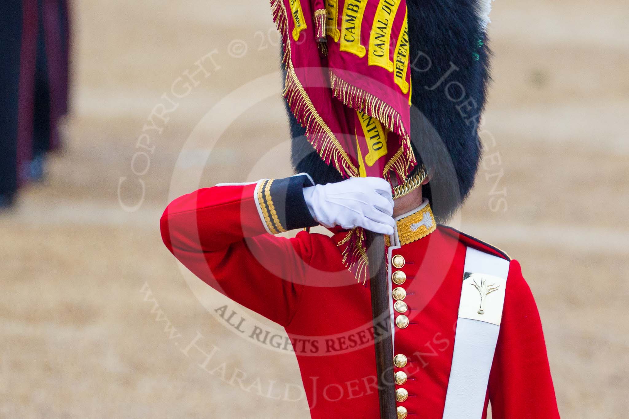 Trooping the Colour 2015. Image #446, 13 June 2015 11:33 Horse Guards Parade, London, UK
