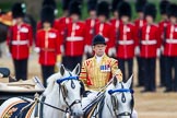 Trooping the Colour 2015.
Horse Guards Parade, Westminster,
London,

United Kingdom,
on 13 June 2015 at 11:05, image #297