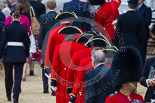 Trooping the Colour 2015. Image #15, 13 June 2015 09:35 Horse Guards Parade, London, UK