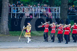 Trooping the Colour 2015. Image #39, 13 June 2015 10:12 Horse Guards Parade, London, UK