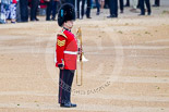 Trooping the Colour 2015. Image #43, 13 June 2015 10:13 Horse Guards Parade, London, UK