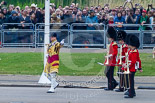 Trooping the Colour 2015. Image #86, 13 June 2015 10:25 Horse Guards Parade, London, UK
