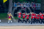 Trooping the Colour 2015. Image #94, 13 June 2015 10:27 Horse Guards Parade, London, UK