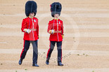Trooping the Colour 2015. Image #106, 13 June 2015 10:29 Horse Guards Parade, London, UK